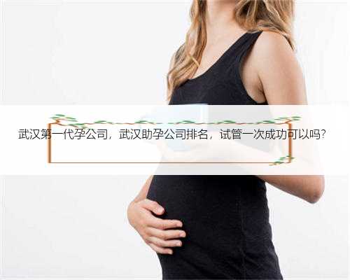 武汉第一代孕公司，武汉助孕公司排名，试管一次成功可以吗？