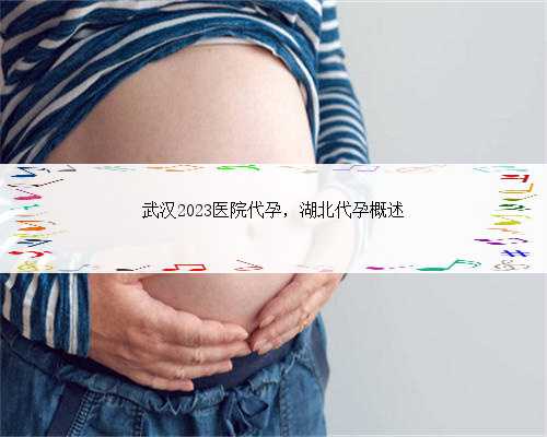 武汉2023医院代孕，湖北代孕概述