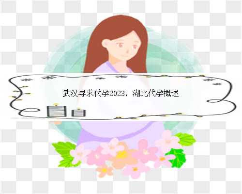 武汉寻求代孕2023，湖北代孕概述