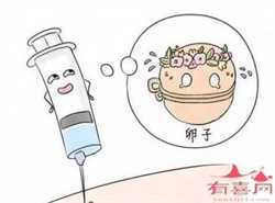 武汉大学人民医院三代试管可以做供卵吗试管成功率有多少